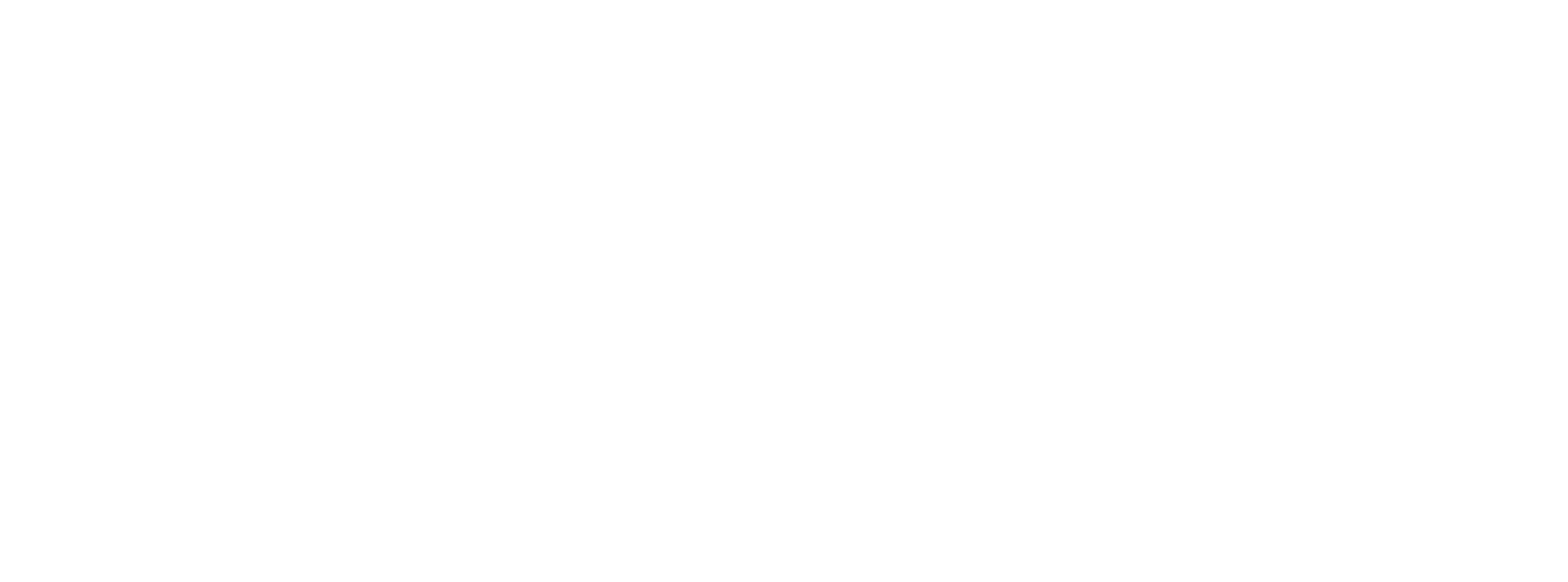 Lexington Missouri Scouts